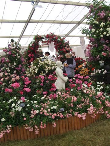 2008_hamptonflower 024.jpg